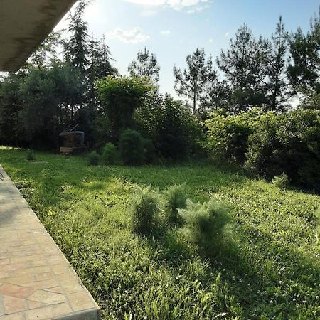 Villa Fonte la Perna Polverigi Exterior foto