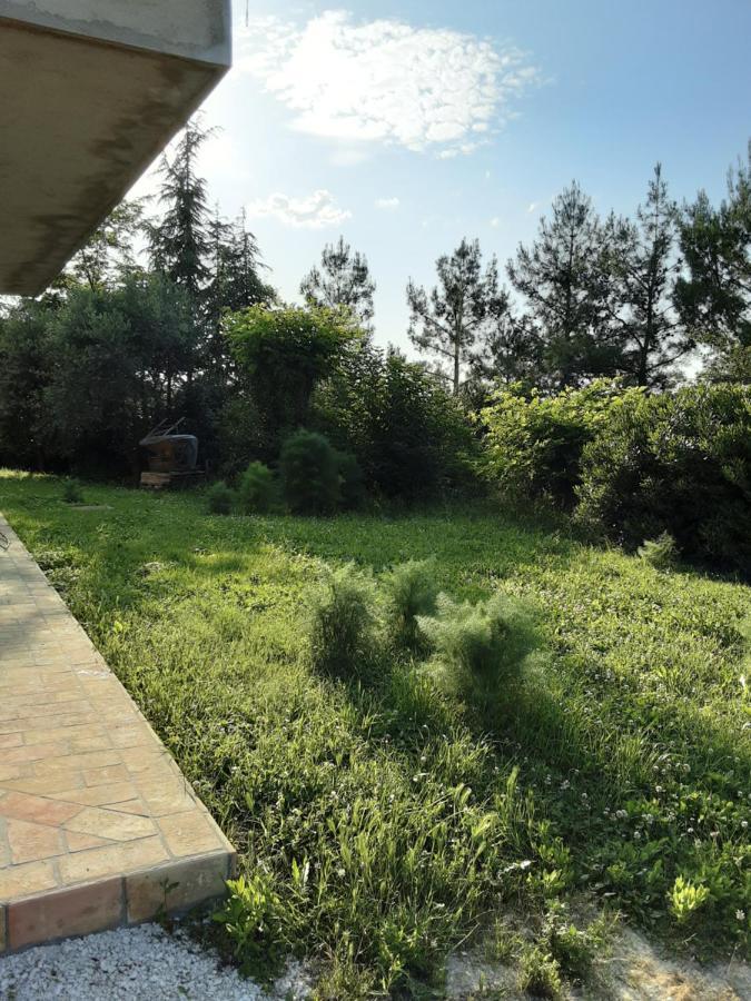 Villa Fonte la Perna Polverigi Exterior foto